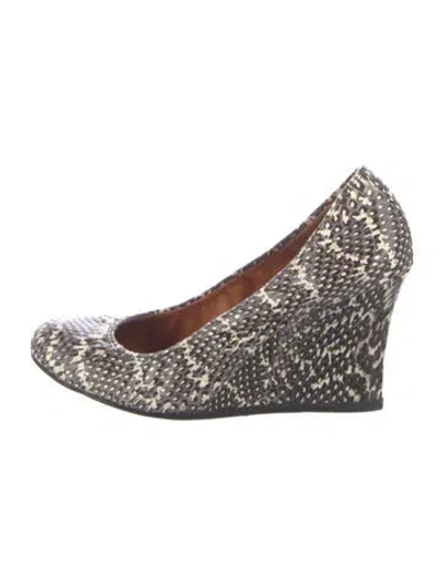 Pre-owned Lanvin Snakeskin Animal Print Pumps In Gray