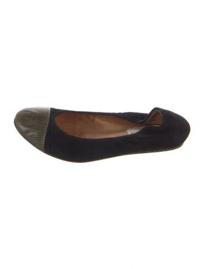 Pre-owned Lanvin Suede Animal Print Ballet Flats In Black