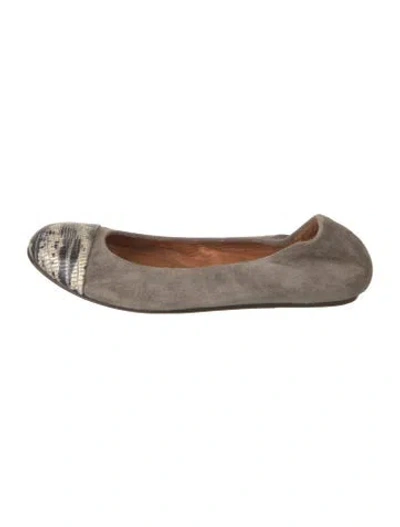 Pre-owned Lanvin Suede Animal Print Ballet Flats In Brown