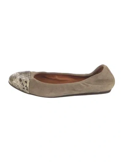 Pre-owned Lanvin Suede Animal Print Ballet Flats In Neutral
