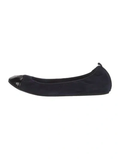Pre-owned Lanvin Suede Ballet Flats In Blue