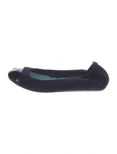 Pre-owned Lanvin Suede Ballet Flats In Blue