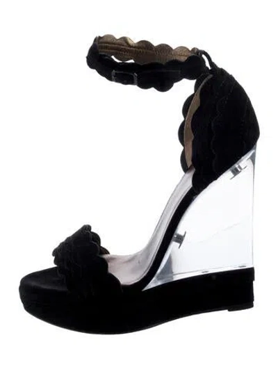Pre-owned Lanvin Suede Scalloped Accent Espadrilles In Black