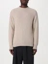 Lanvin Pullover  Herren Farbe Beige In Beige