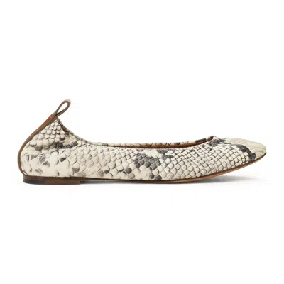 Lanvin White Ballerine Avec Faux Exotique Flats In Brown