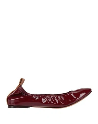 Lanvin Woman Ballet Flats Burgundy Size 6 Calfskin