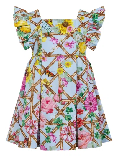Lapin House Kids' X Mary Katrantzou Ruffled Floral-print Dress In Blue