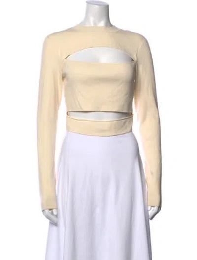 Pre-owned Lapointe Crew Neck Long Sleeve Crop Top In Neutral