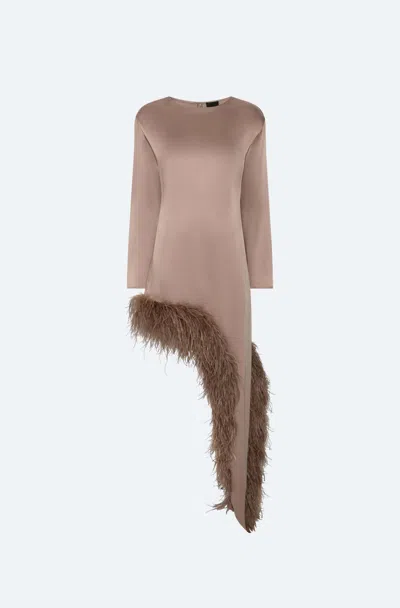 Lapointe Satin Asymmetrical Dress With Feathers In Brown