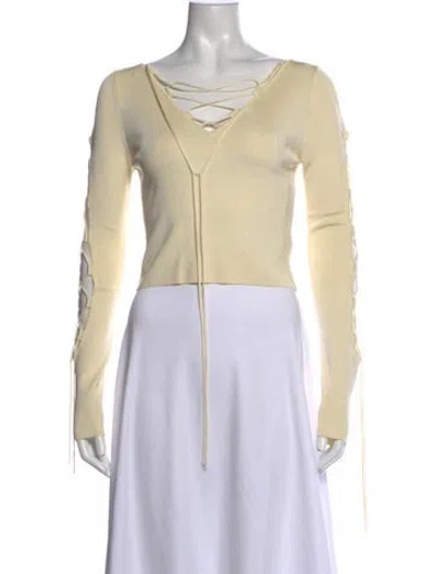 Pre-owned Lapointe V-neck Long Sleeve Top W/ Tags In Neutrals