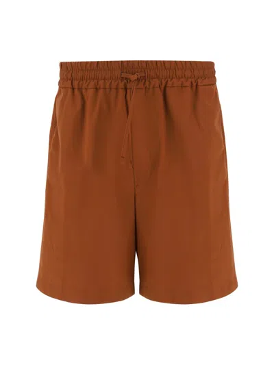 Lardini Shorts In Brown