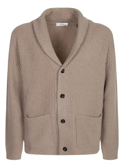 Lardini Cardigans In Neutral