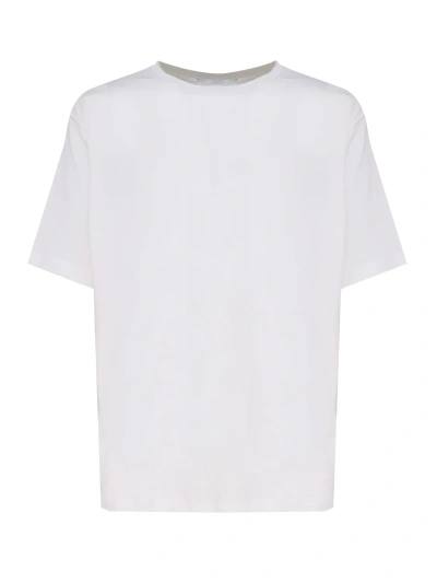 Lardini Cotton T-shirt In White