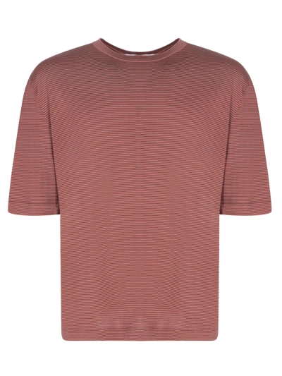 Lardini Jersey Striped Red/brown T-shirt In Pink