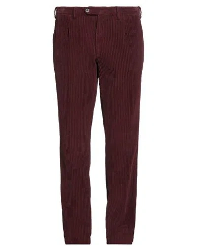 Lardini Man Pants Burgundy Size 40 Cotton, Elastane
