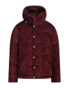 Lardini Man Puffer Burgundy Size 40 Viscose, Cotton, Elastane