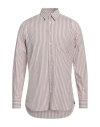 Lardini Man Shirt Plum Size 15 ¾ Cotton In Purple
