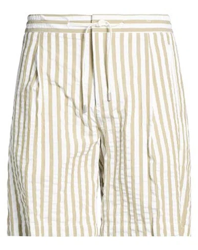 Lardini Man Shorts & Bermuda Shorts Sage Green Size 34 Cotton In Multi