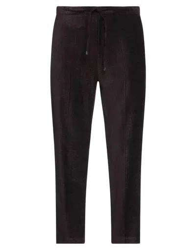 Lardini Pants In Deep Purple