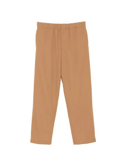 Lardini Pavice Trousers In Brown