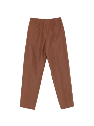 Lardini Pavice Trousers In Brown