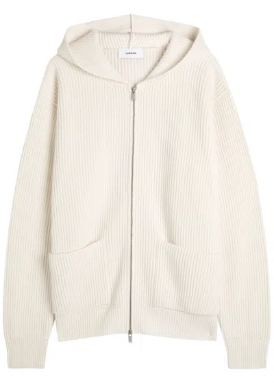 Lardini Ribbed Hooded Wool And Cashmere-blend Jumper In White