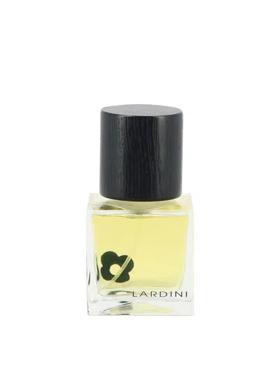 Lardini Verde 1978 Candles & Fragrances Yellow
