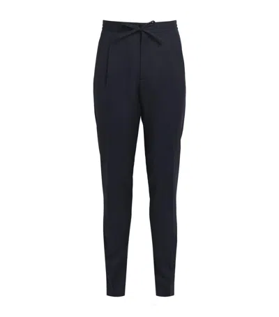 Lardini Wool Drawstring Straight Trousers In Navy