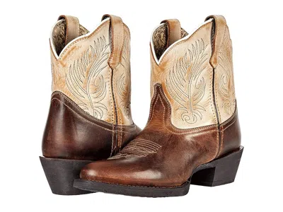 Laredo Tori In Multi