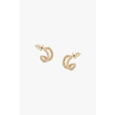 Lark London Tutti & Co Braid Earrings In Gold