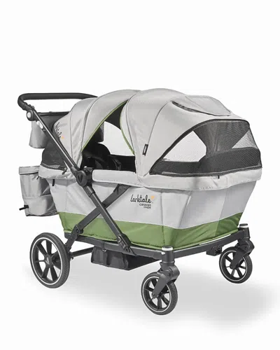 Larktale 2024 Caravan Coupe Quad In Gray