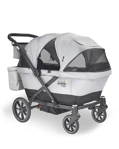 Larktale 2024 Caravan Coupe V2 In Gray
