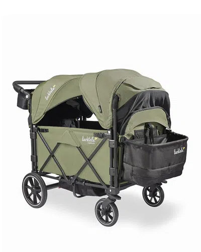 Larktale 2024 Caravan Quad In Chelsea Green