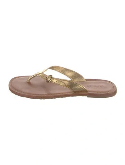 Pre-owned Larroude Leather Flip Flops In Pink