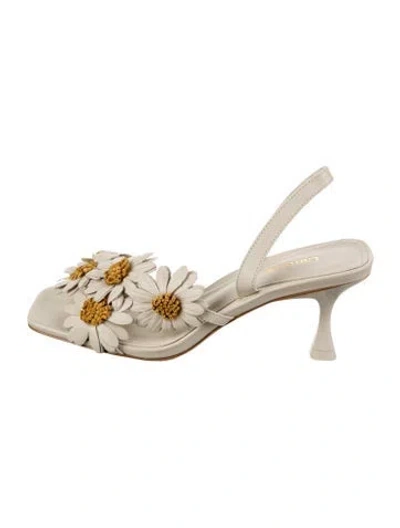 Pre-owned Larroude Leather Floral Print Sandals In Neutrals