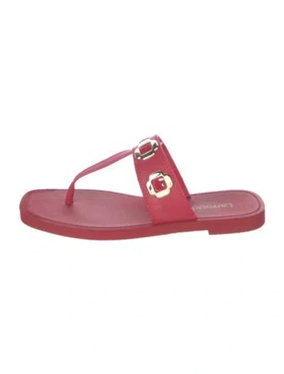 Pre-owned Larroude Leather T-strap Sandals In Pink