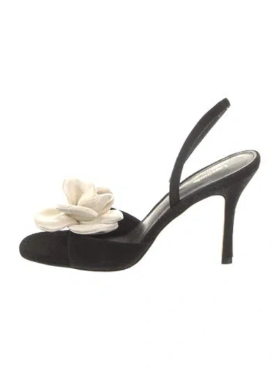 Pre-owned Larroude Suede Floral Print Slingback Sandals In Black
