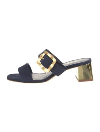 Pre-owned Larroude Suede Sandals In Blue