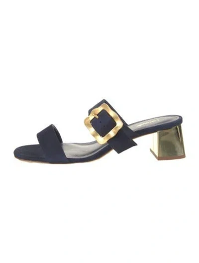 Pre-owned Larroude Suede Sandals In Blue