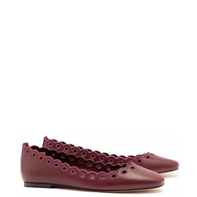 Larroude Women's Meghan Broderie Flat Shoe In Burgundy