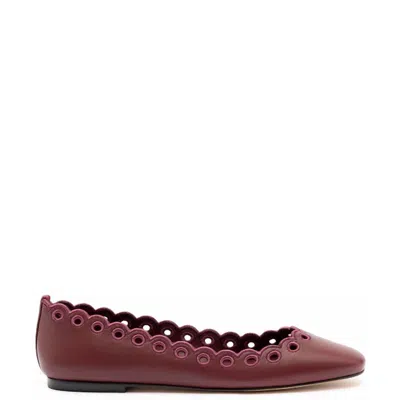 Larroude Women's Meghan Broderie Flat Shoes In Burgundy In White