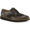 L'artiste By Spring Step Beaufort Derby In Black