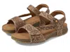 L'artiste By Spring Step Popular In Brown