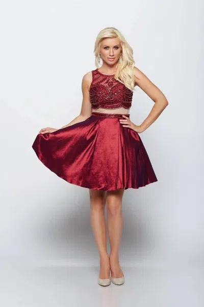 Last Dress Crimson Jewelled Crop Dress In Wine In Pink