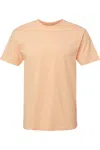 Lat Fine Jersey Tee In Pink