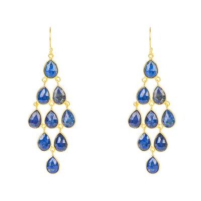 Latelita Women's Blue / Gold Erviola Gemstone Cascade Earrings Gold Lapis Lazuli In Multi