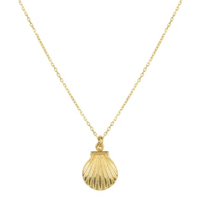 Latelita Women's Cast Scallop Shell Shaped Mini Sterling Silver Necklace In Gold Plating