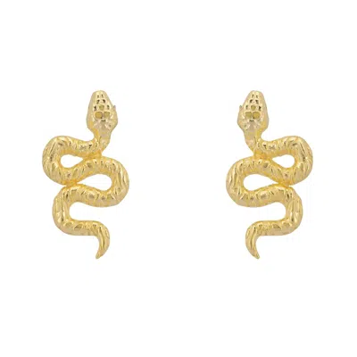 Latelita Women's Coiled Cobra Snake Stud Earrings Gold