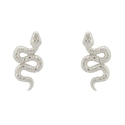 Latelita Women's Coiled Cobra Snake Stud Earrings Silver
