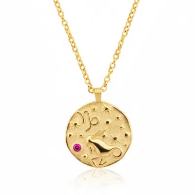 Latelita Women's Zodiac Birthstone Talisman Necklace Capricorn Gold